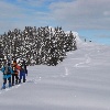 Schneeschuhwanderung - kurz vor dem Gipfel