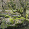 Fastenwanderung Oberpfalz Johannisthal  - Waldnaabtal © Thomas Knauer fort-Schritte.de
