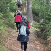 mICHA sTEINWALD UND CO (7)