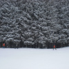 Schneeschuh Wanderung im Allgäu by fort-Schritte - am Waldrand